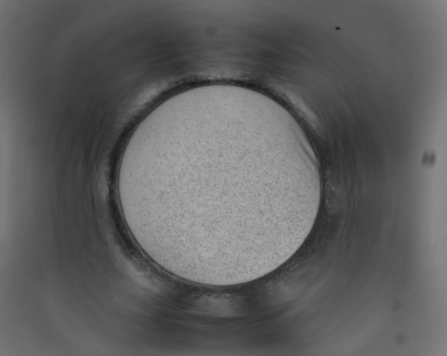 X0000089460631200707131949