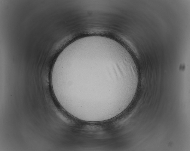 X0000089460633200707131949