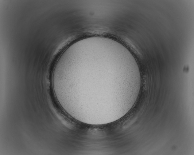 X0000089460634200707131949