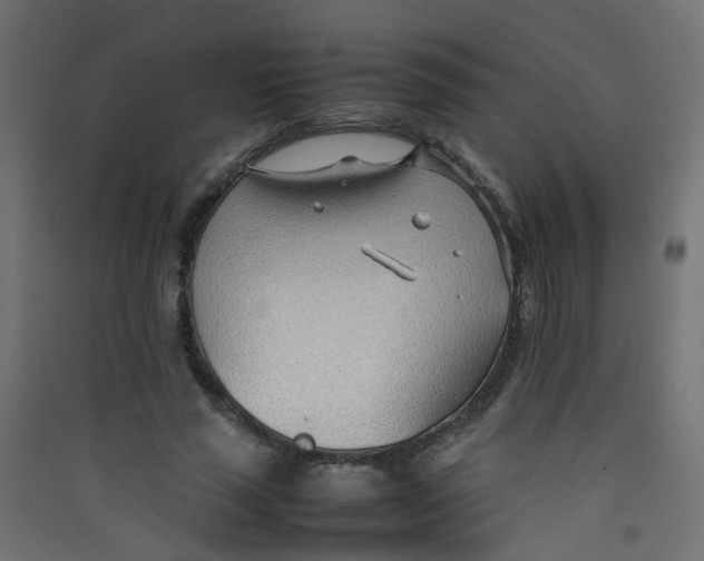 X0000089460637200707131949