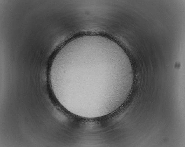 X0000089460638200707131949