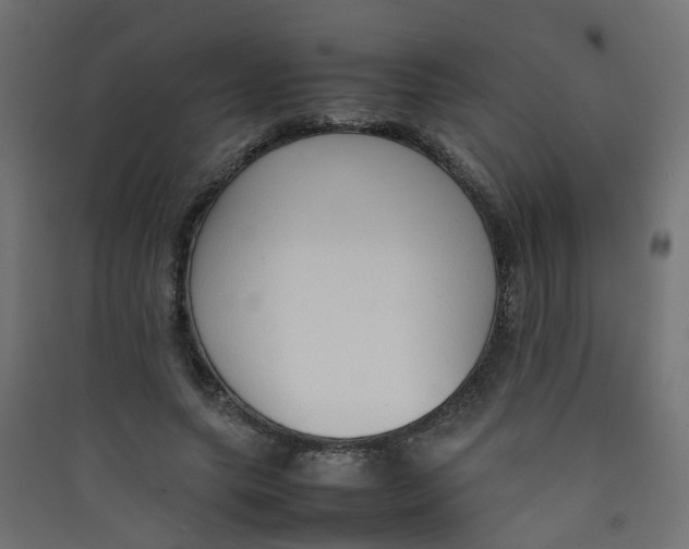 X0000089460639200707131949