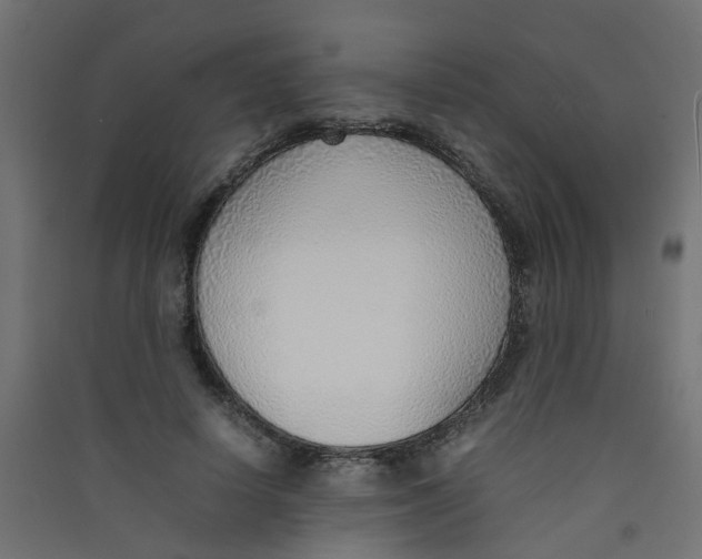 X0000089460642200707131949