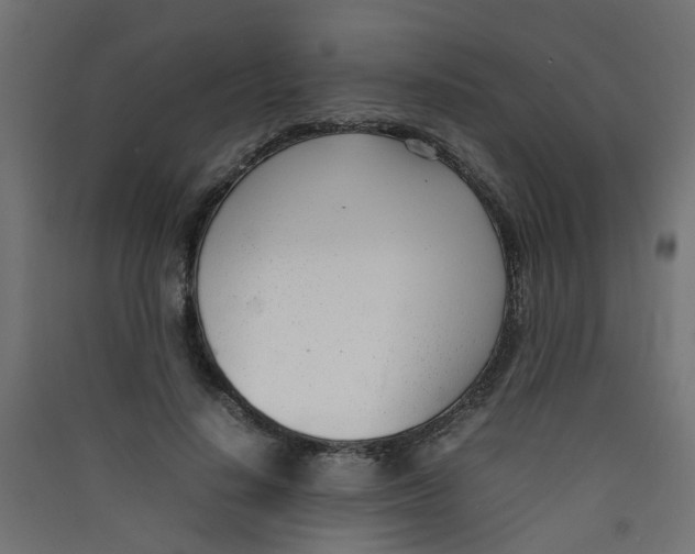 X0000089460644200707131949