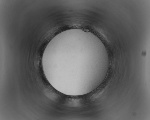 X0000089460645200707131949