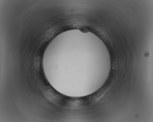 X0000089460646200707131949