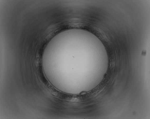 X0000089460647200707131949