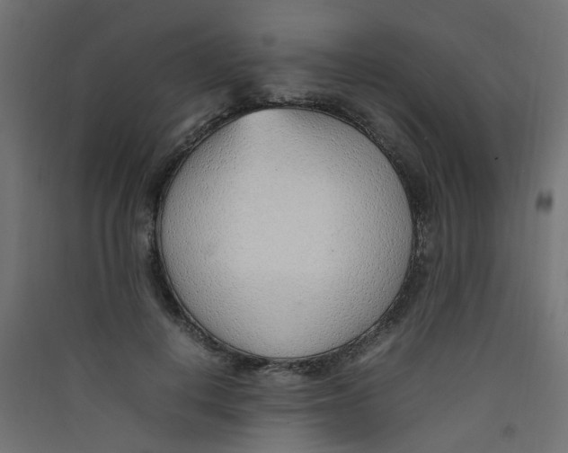 X0000089460648200707131949