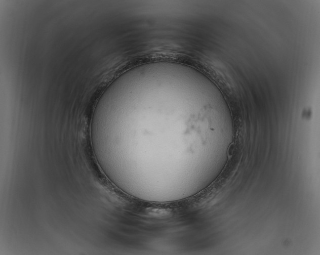 X0000089460649200707131949