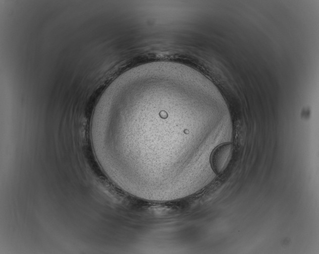 X0000089460650200707131949