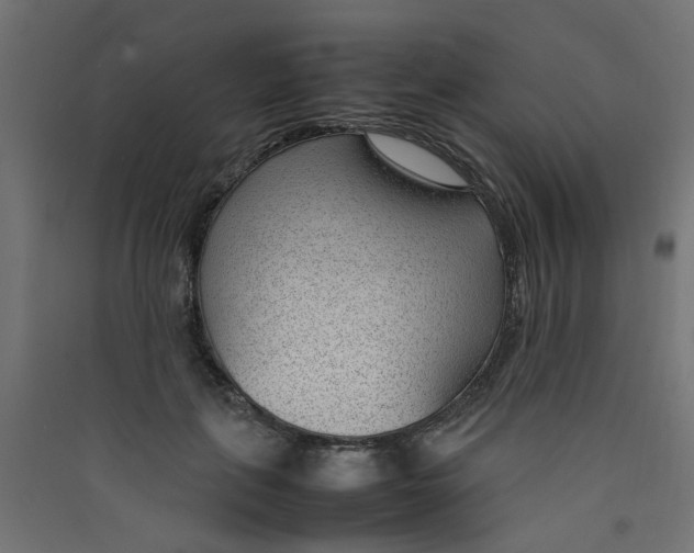 X0000089460651200707131949