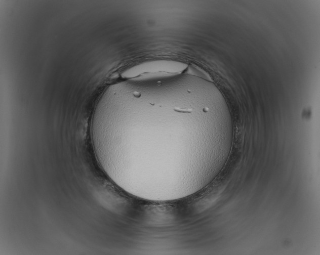 X0000089460652200707131949