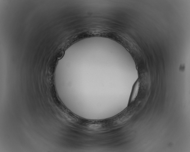 X0000089460653200707131949