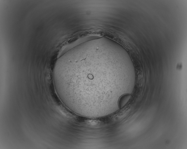 X0000089460654200707131949