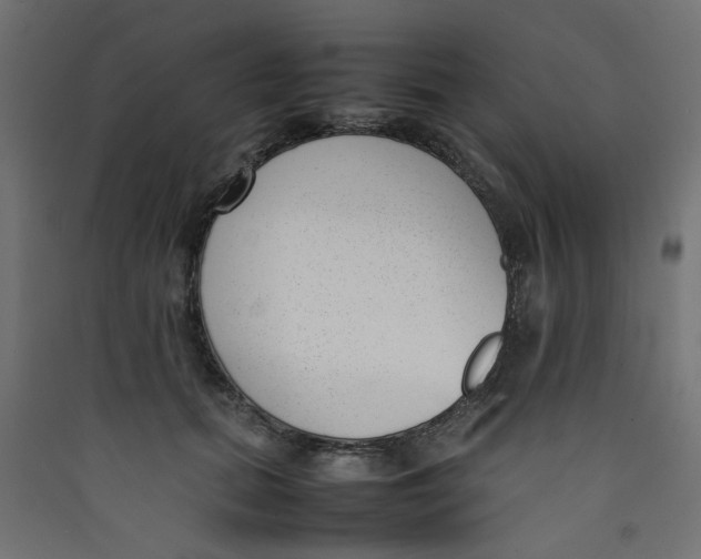 X0000089460655200707131949