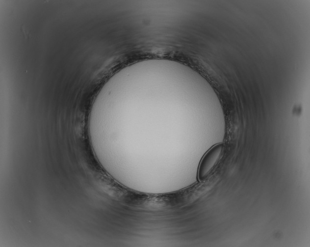 X0000089460656200707131949