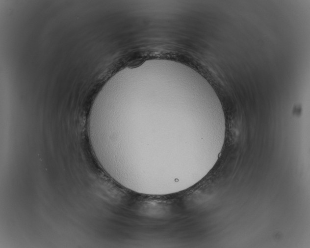 X0000089460657200707131949