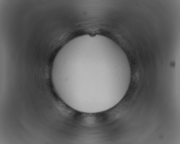 X0000089460658200707131949