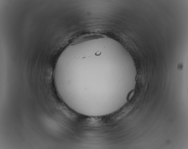 X0000089460660200707131949