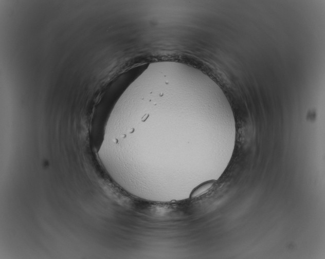 X0000089460662200707131949