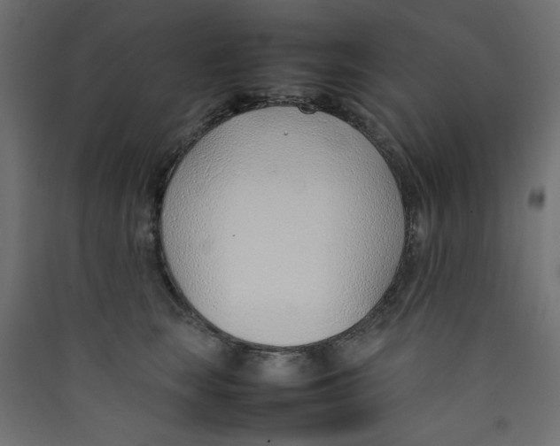 X0000089460663200707131949