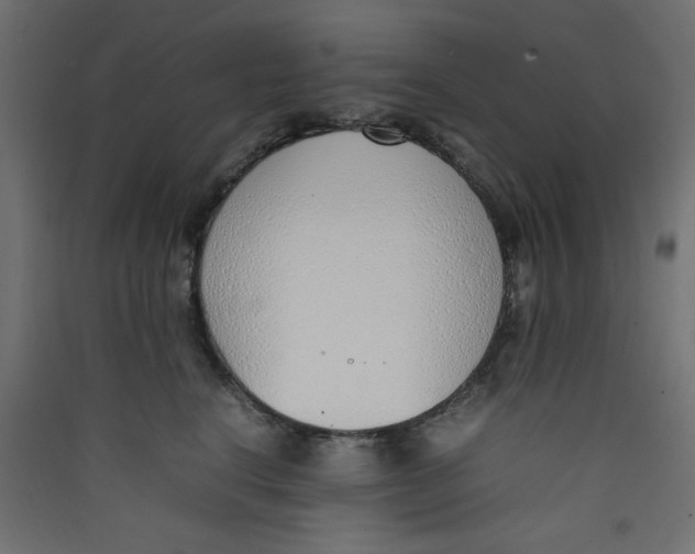 X0000089460664200707131949