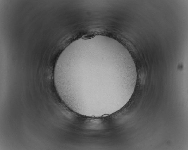 X0000089460665200707131949