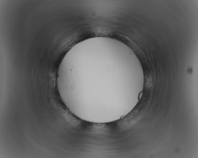 X0000089460666200707131949