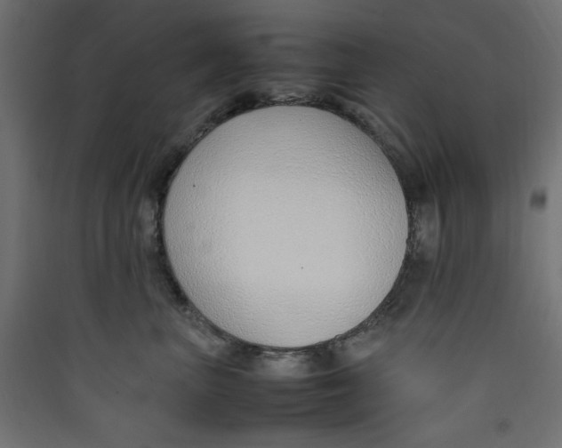 X0000089460667200707131949