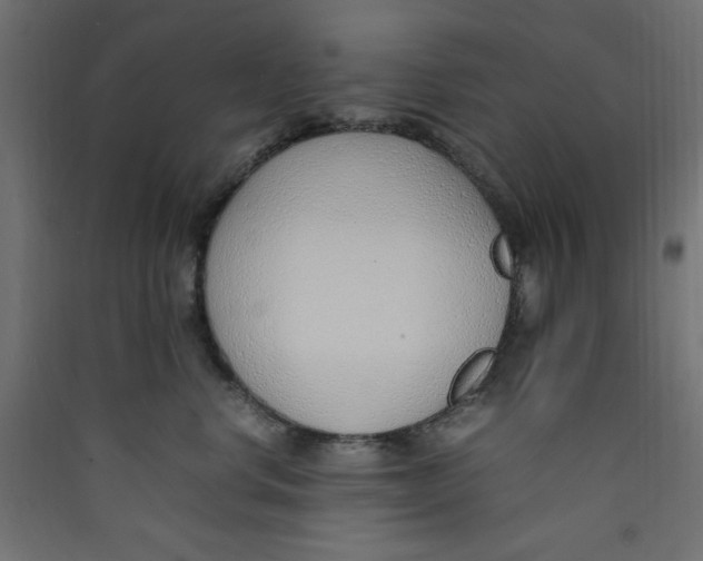 X0000089460668200707131949