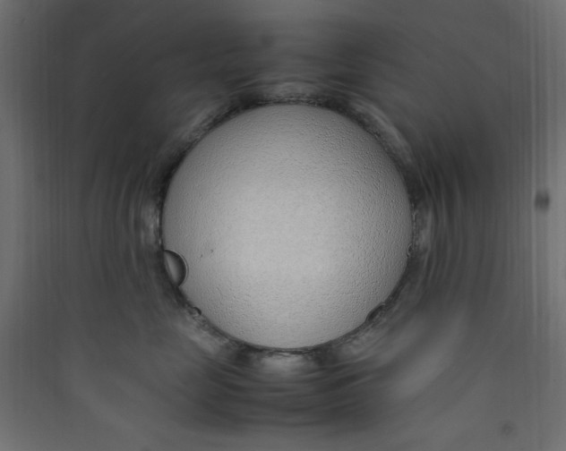 X0000089460669200707131949