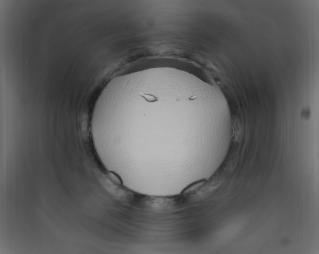 X0000089460670200707131949