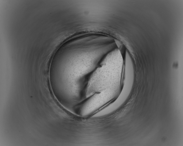 X0000089460673200707131949