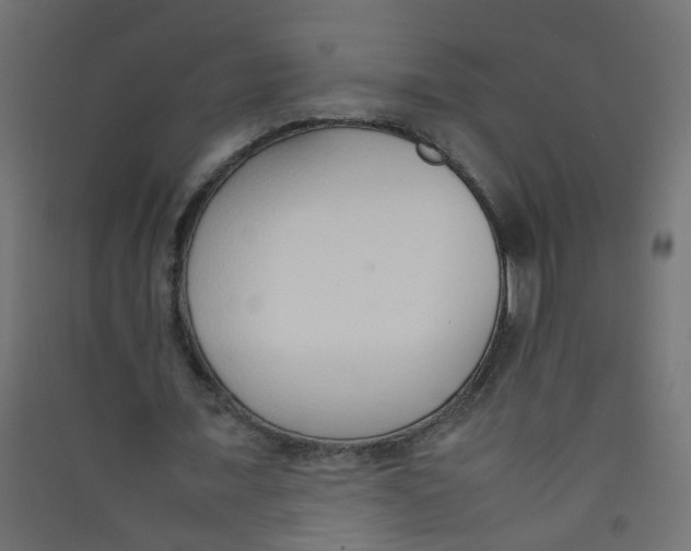 X0000089460675200707131949