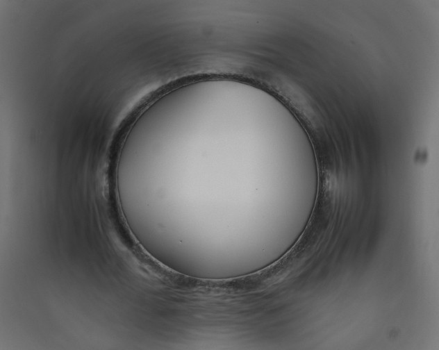 X0000089460676200707131949