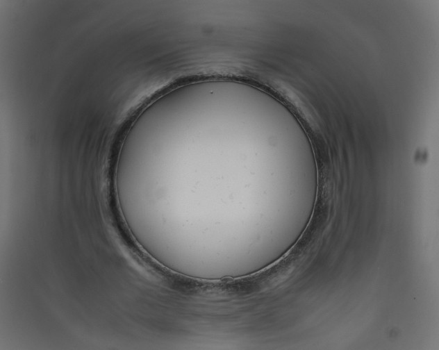 X0000089460677200707131948