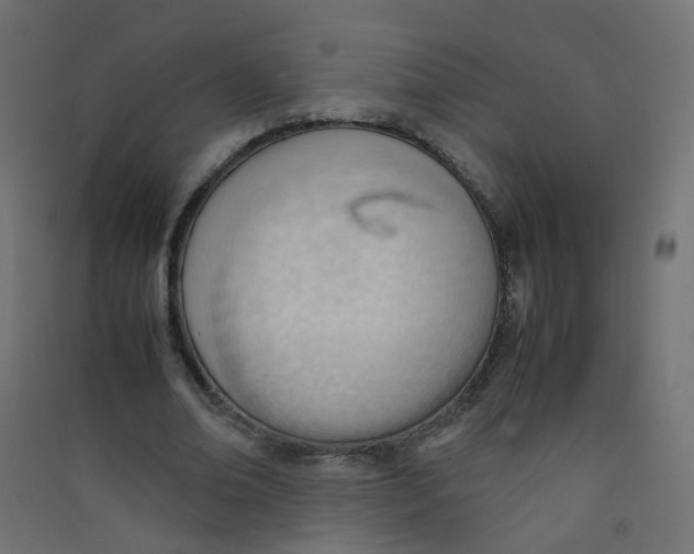 X0000089460678200707131948