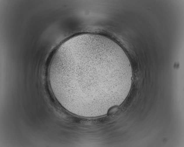 X0000089460679200707131948