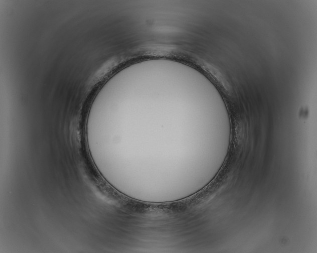 X0000089460682200707131948