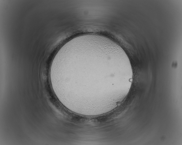 X0000089460683200707131948