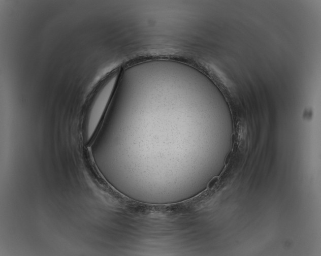 X0000089460684200707131948