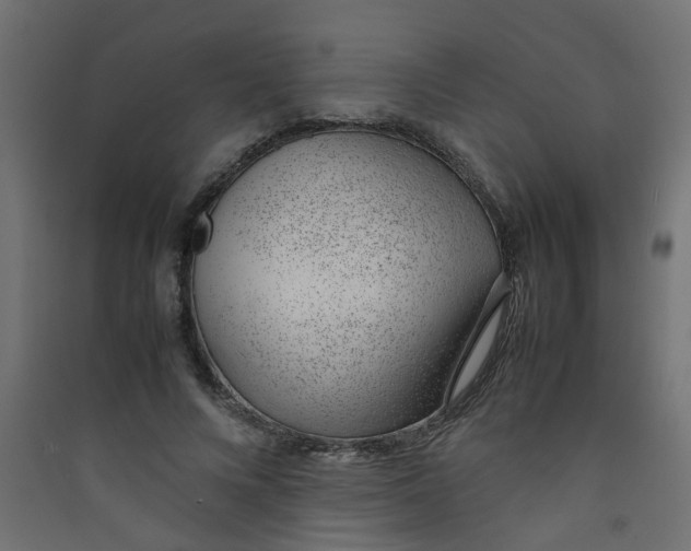 X0000089460688200707131948