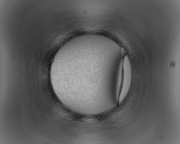 X0000089460689200707131948