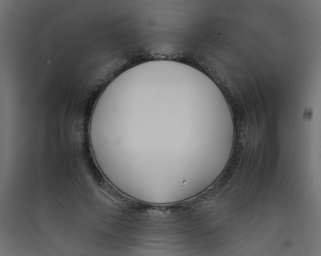 X0000089460690200707131948