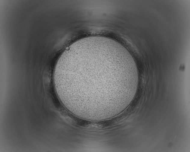 X0000089460691200707131948