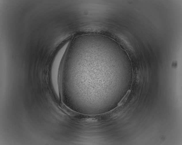 X0000089460692200707131948