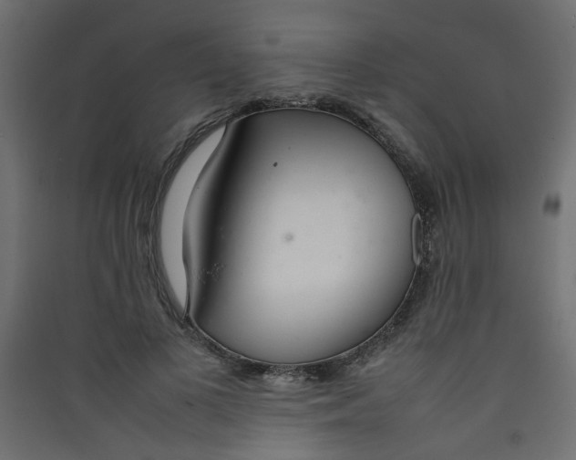 X0000089460693200707131948