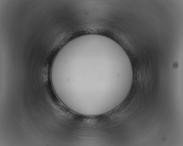 X0000089460694200707131948