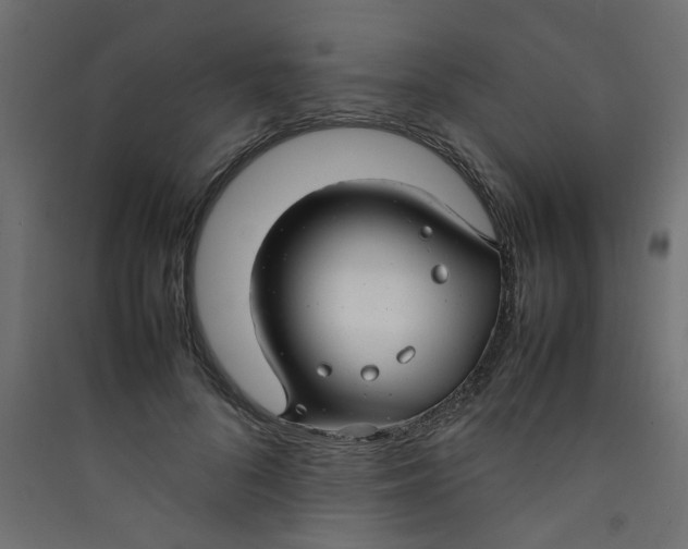 X0000089460696200707131948