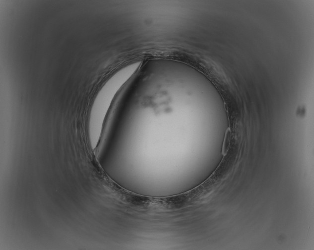 X0000089460697200707131948